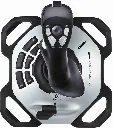 joys 2.webp